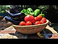畑で採れた野菜と手作りの生地でピザ作った!あと飼育1日目のニワトリがまさかの....