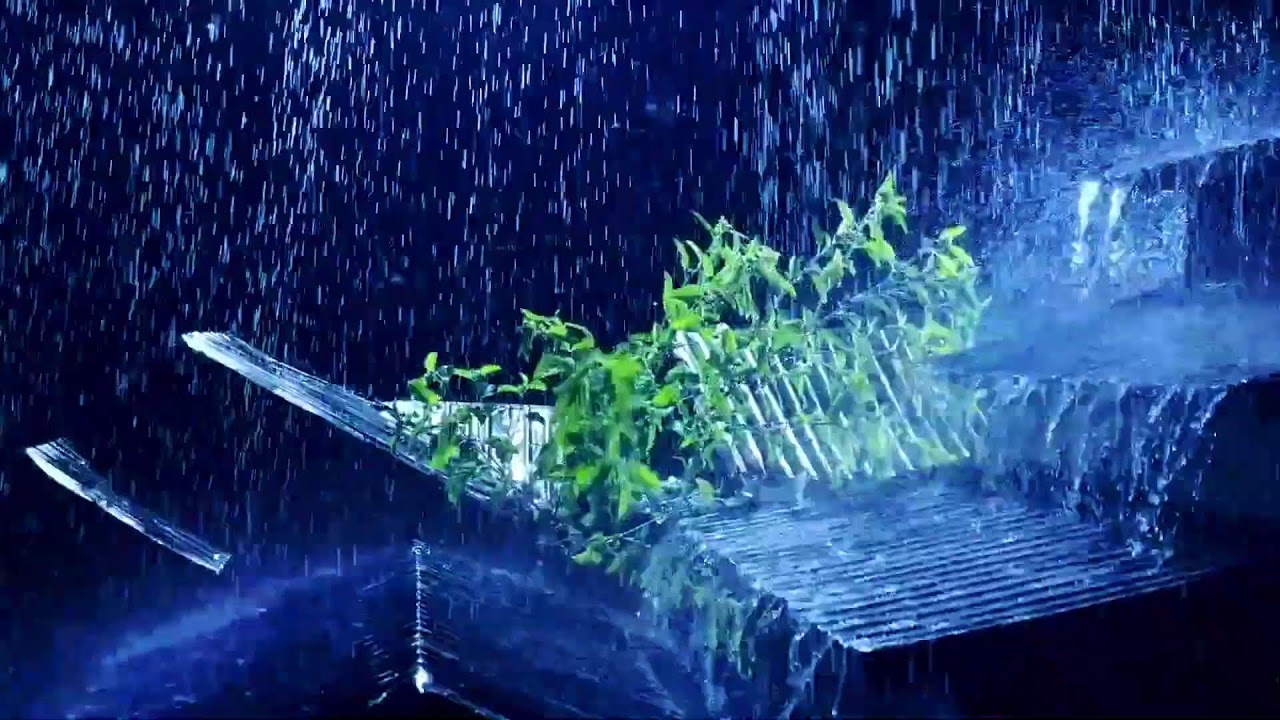 Fall Asleep Instantly with Very Heavy Rain & Powerful Thunder on a Tin Roof at a Cabin in the Forest