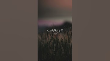 اكتب شيء تؤجر عليه ♡︎ احمد النفيس ، سورة الحديد |#quran #islam #allah ##راحة_نفسية #قرآن