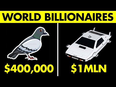 10 CRAZIEST Things Bought By Billionaires