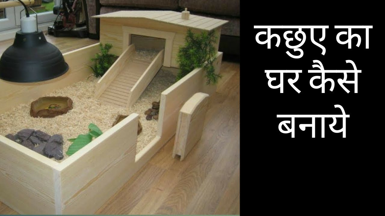turtle doctor near me कछुए का घर कैसे बनाये | how to make tortoise enclosure | Flora And Fauna