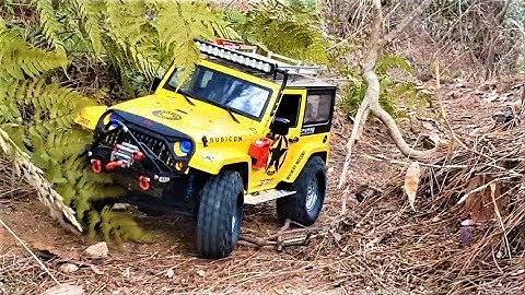 RC Car  MST CFX Jeep Rubicon Forest Trail Adventure
