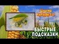 Кукуруза - подбор цвета: фисташковый, теплый зеленый приглушенный, желтый