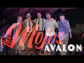 The Mojos | Avalon | Live @ Alte Kaserne Winterthur