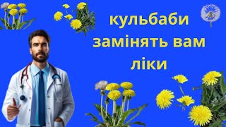 КУЛЬБАБА:ЛІКУВАЛЬНІ ВЛАСТИВОСТІ, КОРИСТЬ ДЛЯ ОРГАНІЗМУ. КУЛЬБАБА ЗАМІНИТЬ ВАМ ЛІКИ.