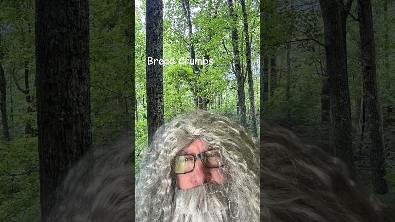 Bread Crumbs ~ Mr. Vague YouTube Shorts