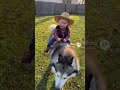 わんこ赤ちゃんと遊ぶ🐶👶 Dog Playing with a Baby#dog #baby #cute #kawaii #funny #play #aivideo #pet #癒 #shorts