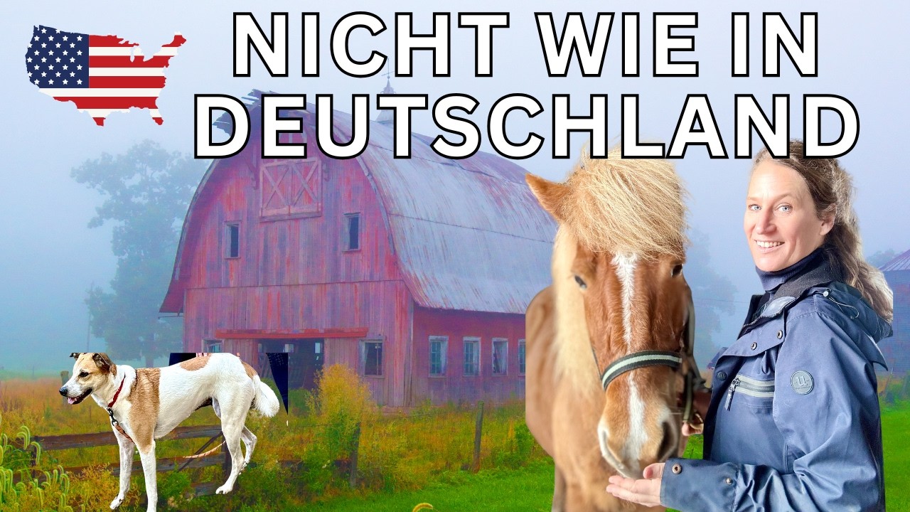 Rural in Tennessee ist NICHT wie ländlich in Deutschland  das haben wir unterschätzt🇺🇸