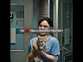 one day I found a lucky little cat... #movieclips #viral