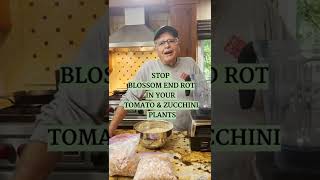 How to stop blossom end rot from tomato and zucchini plants