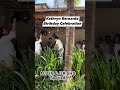 Kathryn Bernardo Birthday Celebration Spotted Alden & Jericho Soo Sweet #kathrynbernardo #birthday