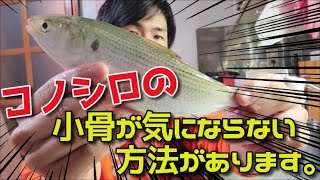 コノシロ簡単に捌けるじゃん！刺身で食べたら最強に美味い！！