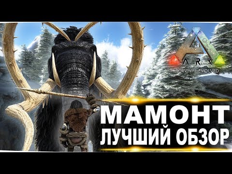 Видео: Мамонт (Mammoth) в АРК. Лучший обзор: приручение, разведение и способности  в ark.