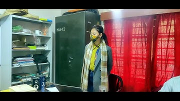 Progress Report Presentation - Paveine