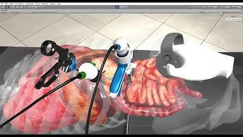 SofaAPAPI-Unity3D - 3D organs simulation in Virtual Reality