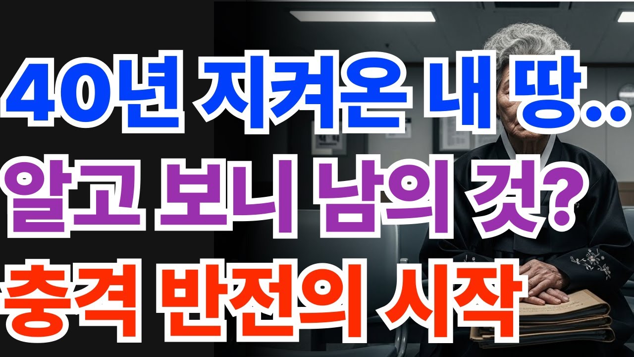 재개발 쓰레기더미에서 발견한 할머니의 땅문서