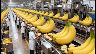 Inside the 500,000 LB U.S. Banana Plant – The HYPNOTIC Quality Sorting Process