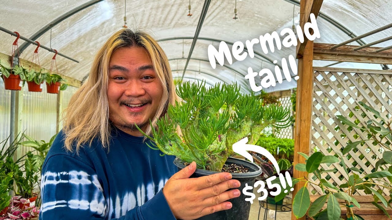 I found some plants you need at this nursery!