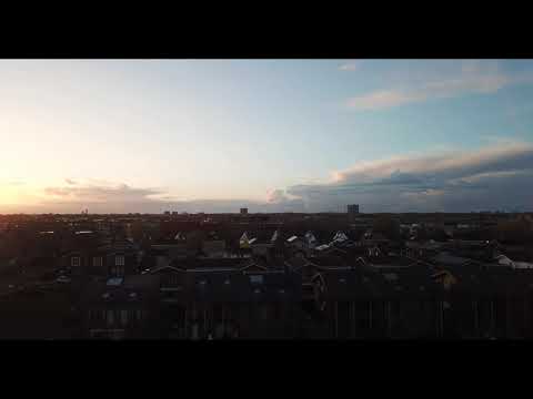 Jesse Bru - Roach Fingers