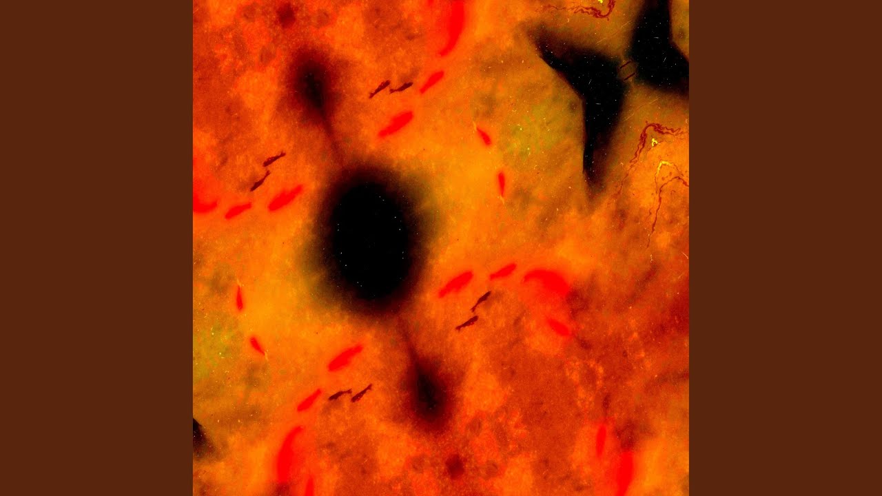 The Quiet at the Center of the Spiral - Delta 2.5 Hz bekijken op YouTube