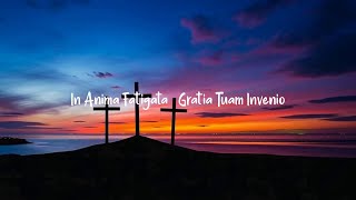 In Anima Fatigata - Gratia Tuam Invenio  💧 Deep Healing Worship Mix screenshot 3