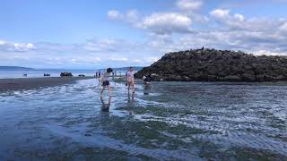 Edmonds Low Tide Out