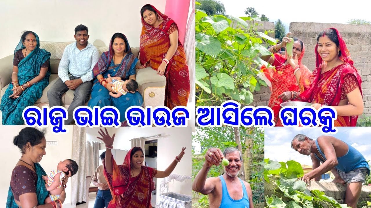 ରାଜୁ ଭାଇ ଭାଉଜ ଆସିଲେ ଘରକୁ // ପୁଅକୁ ଛାଡ଼ିକି କାନ୍ଦିକି ଗଲା ଆପୁ@lifeofsridhar9099 