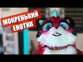 😂 Мокренький енотик ✅ Фурри прогулка в Москве