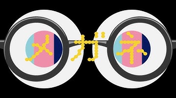 東京百色眼鏡｜Motion Graphics Work｜BYND