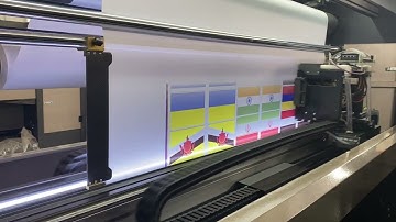 Yaselan Double-sided Synchronous Printing Sublimation Printer Flag Machine with EPSON i3200-A1 8H