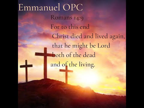 Death And Life In Christ