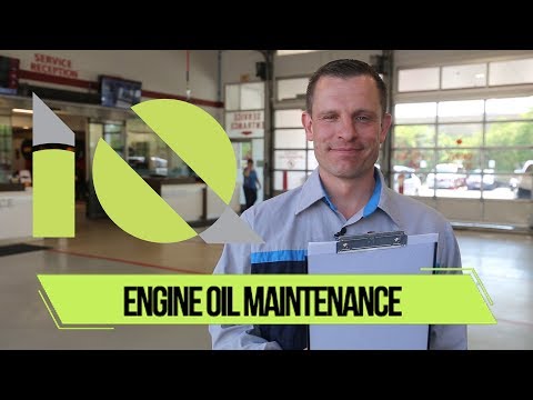 How Often Do I Really Need an Oil Change? | Auto IQ