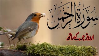 SURAH RAHMAN TARJUMA KE SATH QARI AL SHAIKH ABDUL BASIT ABDUL SAMAD  PART34
