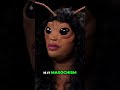 Two Dogs Inside: Unpacking Masochism & Kindness #shorts