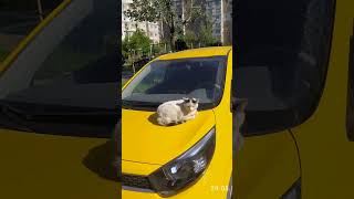 Как я решилась сходить на силовую тренировку😂😂😂