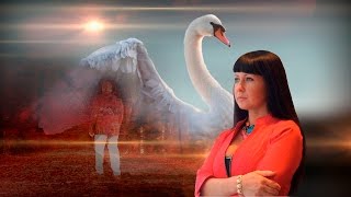 Сергей Альбин - Лебедь Белая