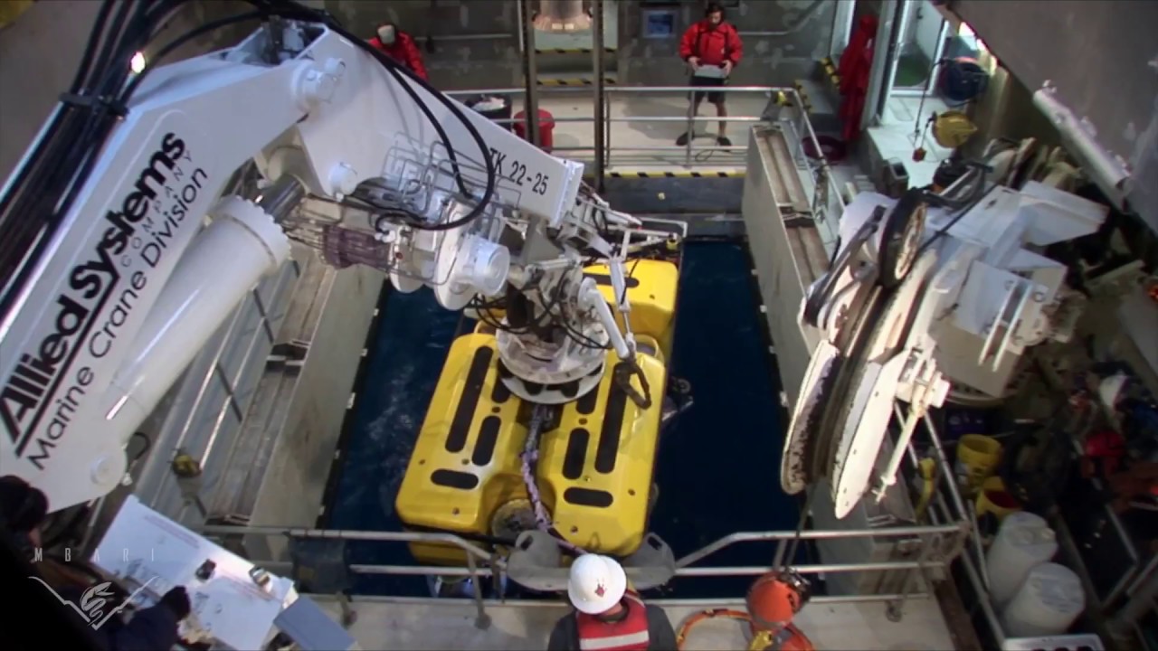 June 2018 MBARI Bioinspiration Cruise: RV Western Flyer and ROV Doc Ricketts - YouTube June 2018 MBARI Bioinspiration Cruise: RV Western Flyer and ROV Doc Ricketts - YouTube
