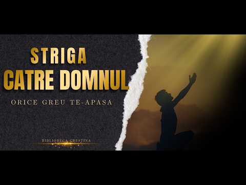 Videoclip 36