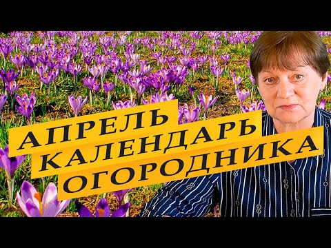 Видео: Здравен календар за април 2021 г