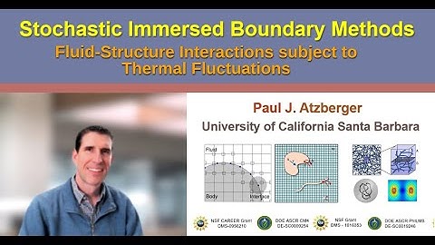Stochastic Immersed Boundary Methods for Microscopic Fluid-Structure Interactions in Soft Materials