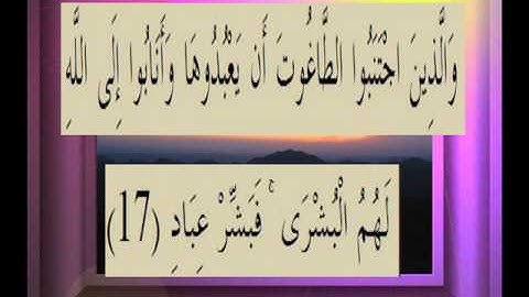 القرآن الكريم سورة الزمر الاية 17