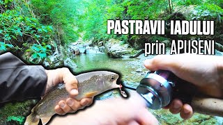 PESCUIT la PASTRAV in APUSENI - PEISAJE, GLAMPING, ROMANISME, MANELE...