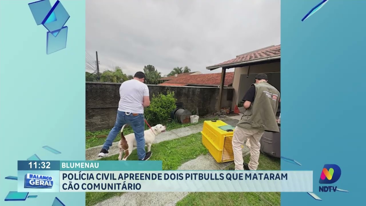 Polícia Civil apreende dois pitbulls que mataram cão comunitário