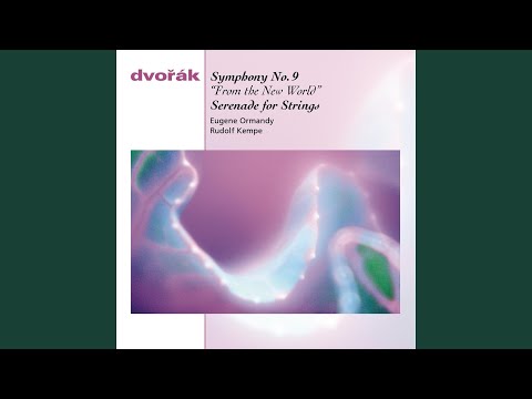 Serenade for Strings in E Major, Op. 22, B. 52: V. Finale. Allegro vivace