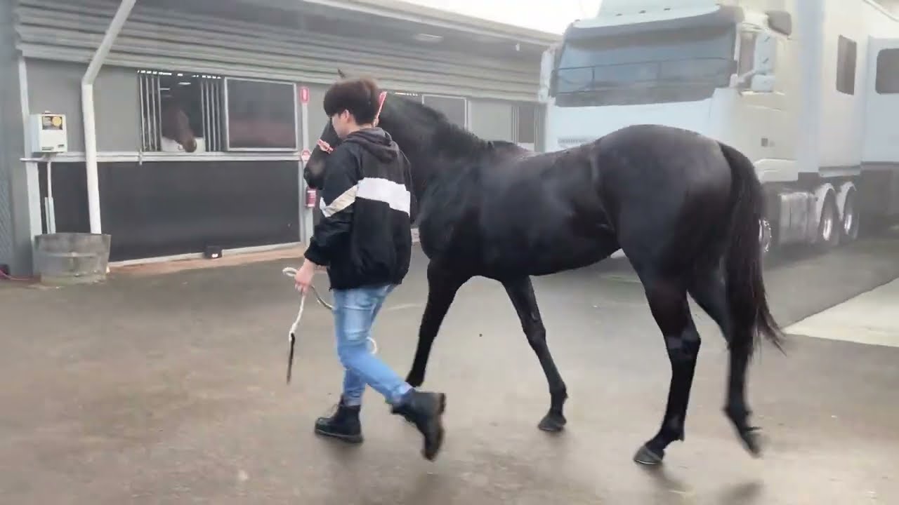 Grunt x Prose Update July 2022 YouTube