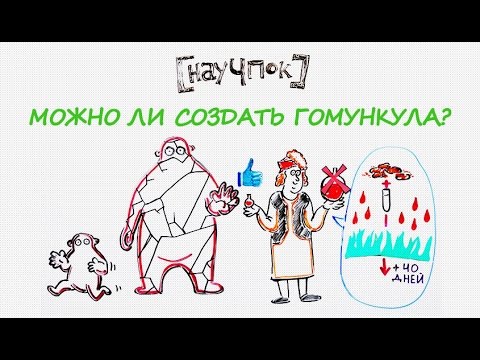 Можно ли создать гомункула? — Научпок