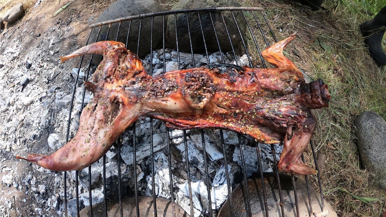 Cacería y Cocina de Conejo Silvestre | Asado Salvaje de Conejo