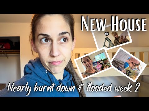 Moving House Updates + Costco Haul for My Family of 8!
