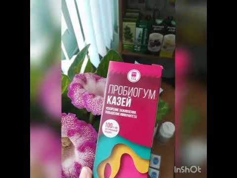 Пробиогум Казей - отзыв - YouTube