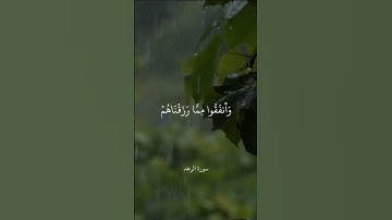 وَالَّذِينَ صَبَرُوا ابْتِغَاءَ وَجْهِ رَبِّهِمْ وَأَقَامُوا الصَّلَاةَ || سورة الرعد || علي جابر